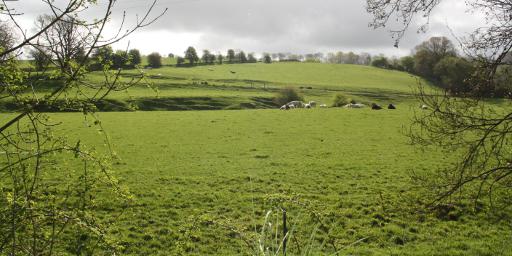 La campagne condrusienne