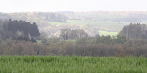 The valley where nestles the village of Ocquier